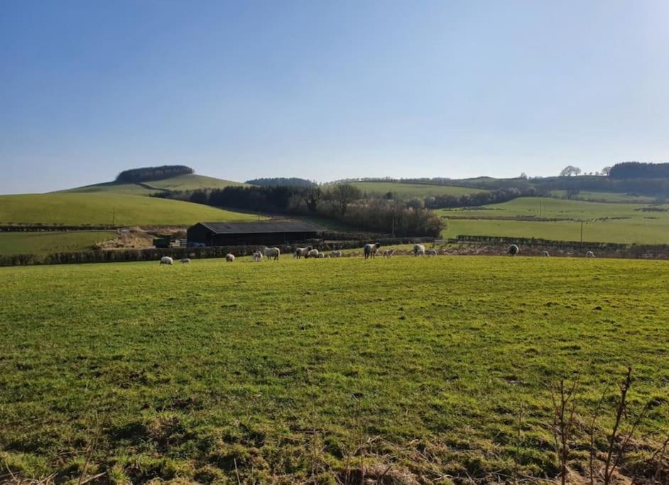 Strathken Cottage Castle Douglas ภายนอก รูปภาพ